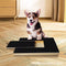 Dog nail scratch board/trimmer